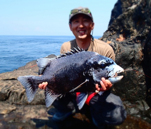 三宅島石鯛釣り：店長釣行記 - 釣道楽屋サバロ＜SABALO＞
